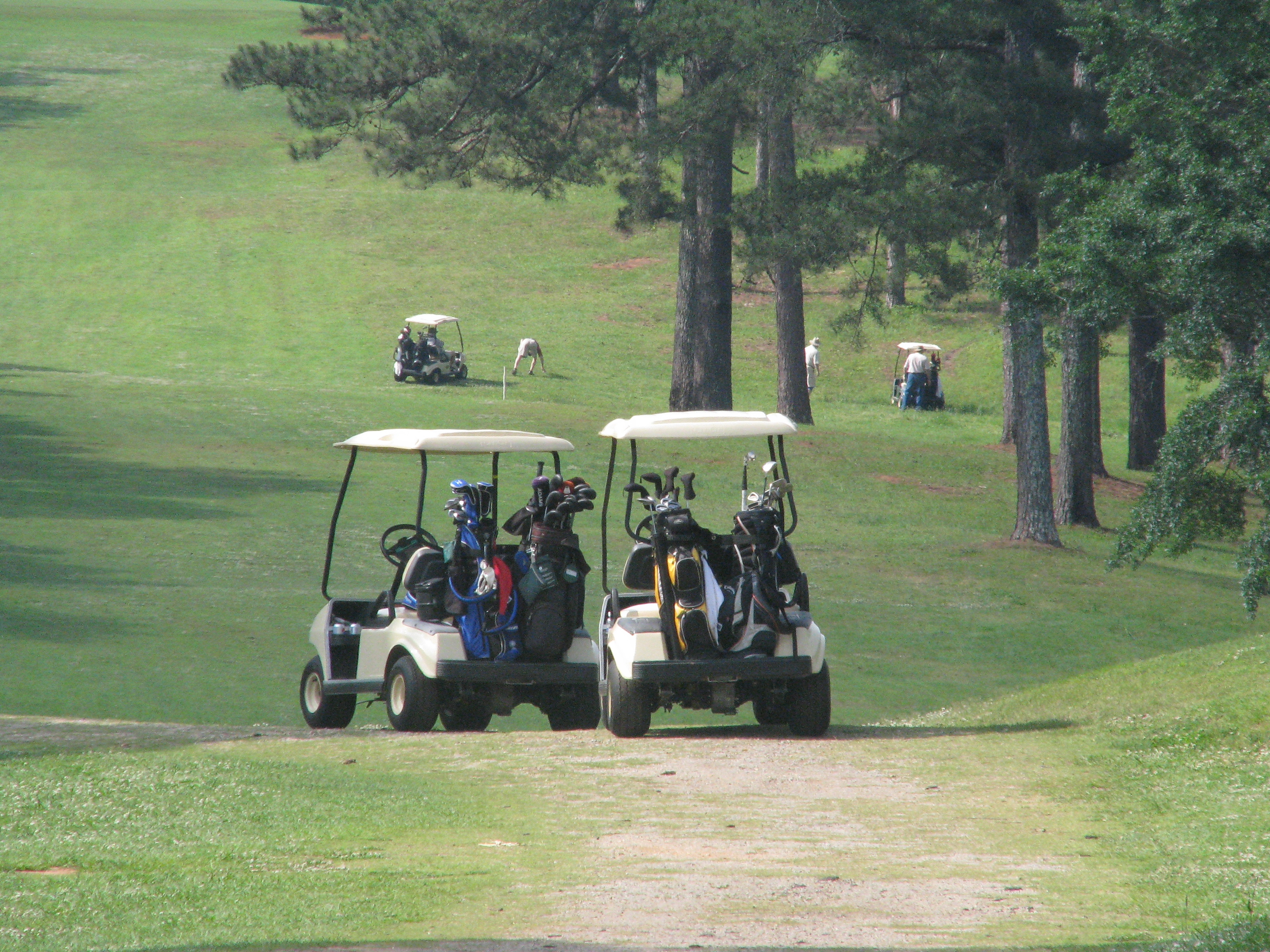 Golf carts